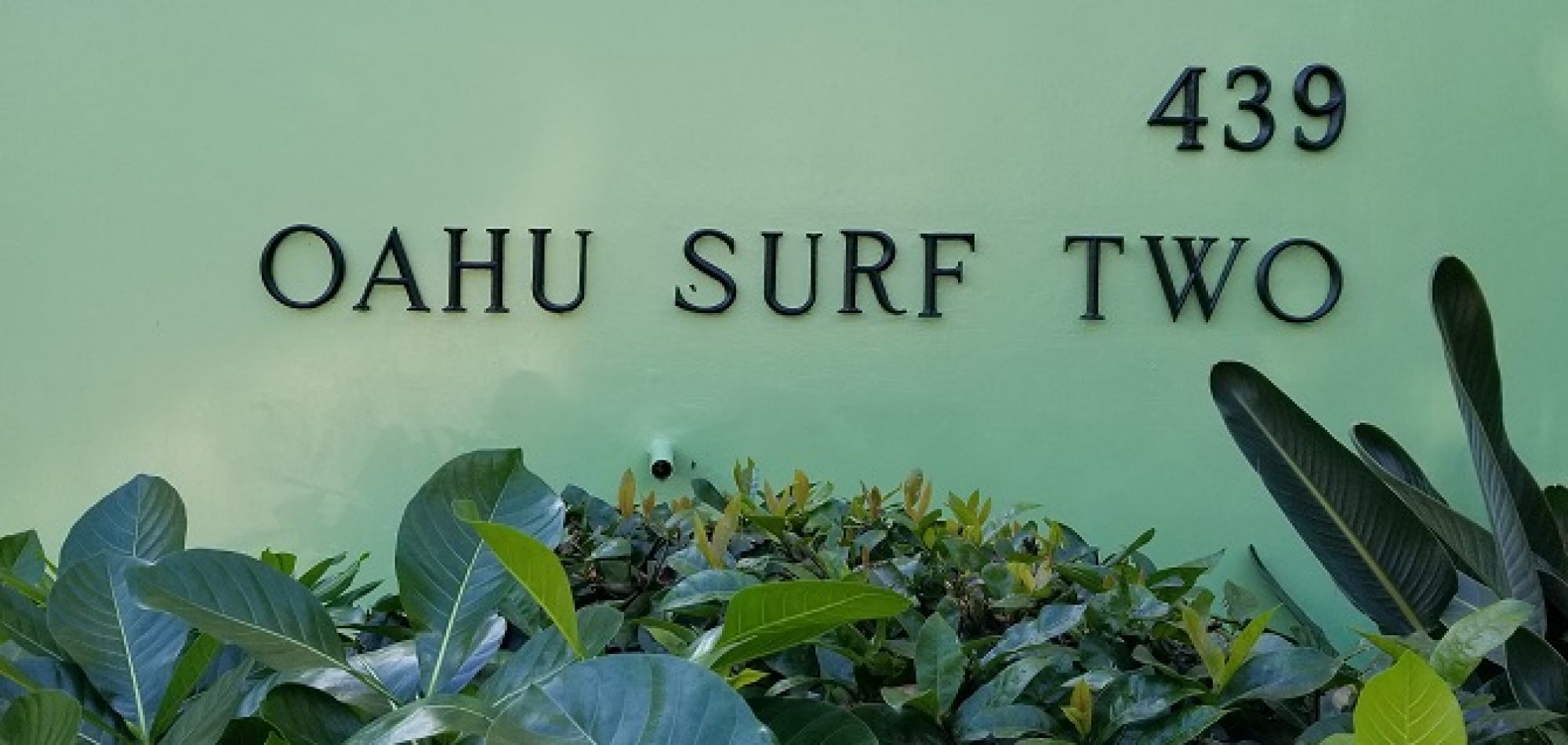 Oahu Surf Two